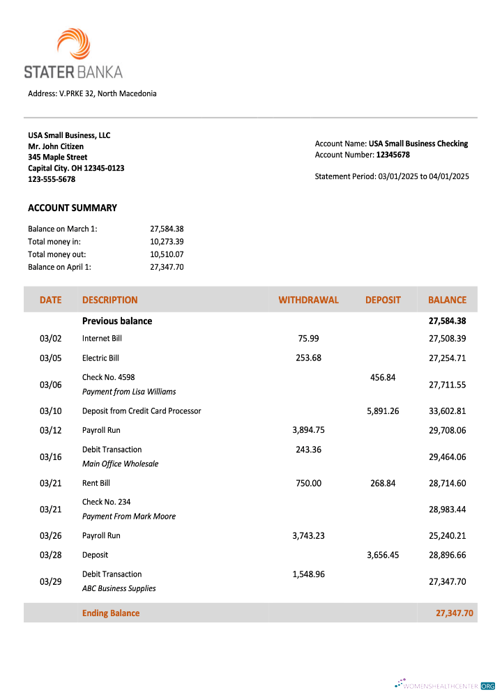 Download North Macedonia Stater Banka firm account statement Word and PDF template Photoshop template